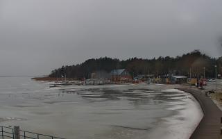 Dąbki - 22-02-2026 10:37