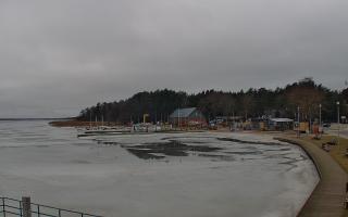 Dąbki - 24-02-2026 11:55