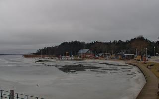 Dąbki - 24-02-2026 12:02