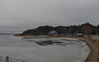 Dąbki - 24-02-2026 12:10