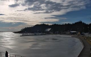 Dąbki - 25-02-2026 13:19