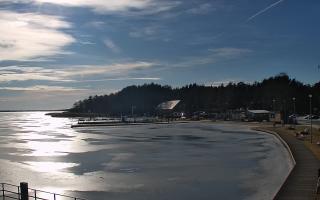 Dąbki - 25-02-2026 13:34