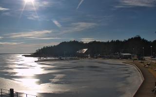 Dąbki - 25-02-2026 13:42