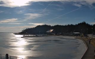 Dąbki - 25-02-2026 13:49