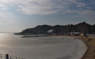 Dąbki - 27-02-2026 12:36