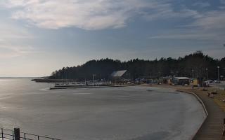 Dąbki - 27-02-2026 12:44