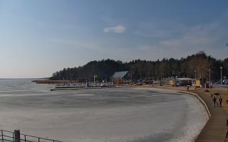 Dąbki - 28-02-2026 11:04