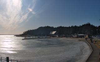 Dąbki - 01-03-2026 13:15