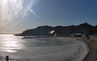 Dąbki - 01-03-2026 13:23