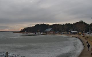 Dąbki - 02-03-2026 14:01