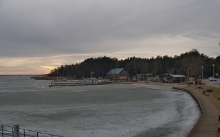 Dąbki - 02-03-2026 14:09