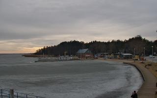 Dąbki - 02-03-2026 14:17