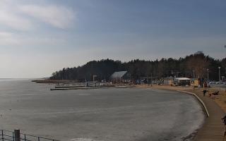 Dąbki - 07-03-2026 11:39