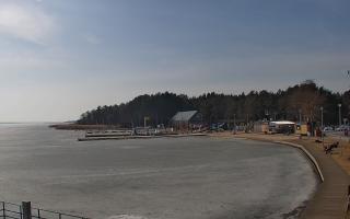 Dąbki - 07-03-2026 11:47