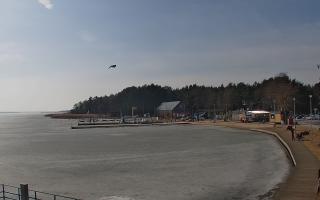 Dąbki - 07-03-2026 11:54