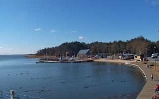 Dąbki - 21-03-2026 10:06