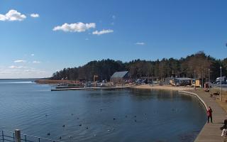 Dąbki - 21-03-2026 10:45