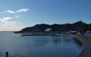 Dąbki - 21-03-2026 12:17