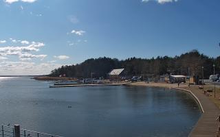 Dąbki - 21-03-2026 12:25