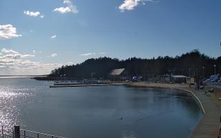 Dąbki - 21-03-2026 12:56