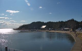 Dąbki - 21-03-2026 13:04