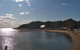 Dąbki - 21-03-2026 13:11