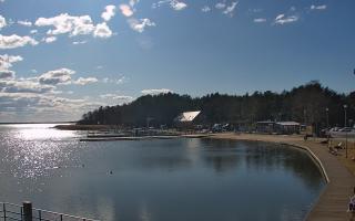 Dąbki - 21-03-2026 13:19