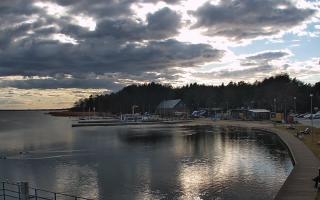 Dąbki - 21-03-2026 14:59