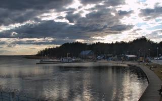 Dąbki - 21-03-2026 15:07