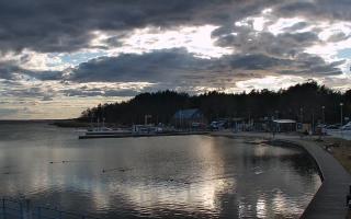 Dąbki - 21-03-2026 15:14