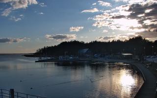 Dąbki - 21-03-2026 15:53