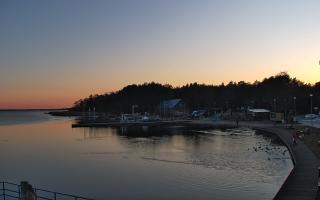 Dąbki - 21-03-2026 17:02