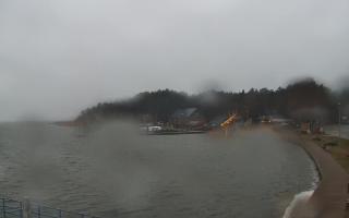 Dąbki - 04-04-2026 04:14