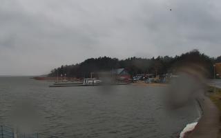 Dąbki - 04-04-2026 04:21