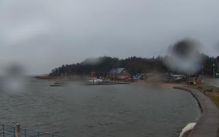 Dąbki - 04-04-2026 04:44