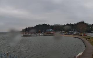 Dąbki - 04-04-2026 05:31