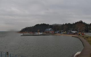 Dąbki - 04-04-2026 05:38