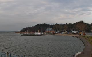 Dąbki - 04-04-2026 06:01