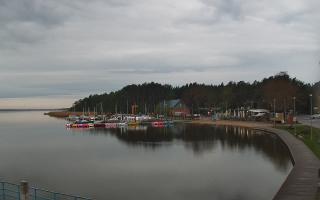 Dąbki - 19-05-2026 02:34