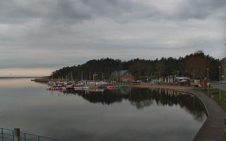Dąbki - 19-05-2026 02:42