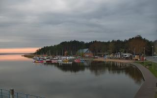 Dąbki - 19-05-2026 02:57