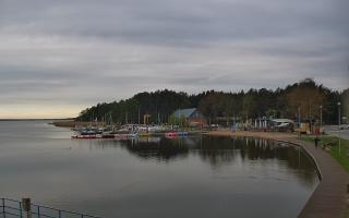Dąbki - 19-05-2026 05:00