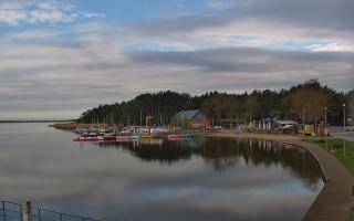 Dąbki - 19-05-2026 05:54