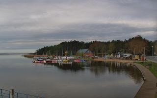Dąbki - 19-05-2026 06:17