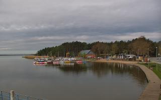Dąbki - 19-05-2026 06:33