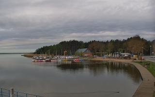 Dąbki - 19-05-2026 06:40
