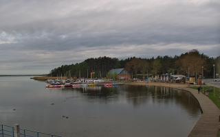 Dąbki - 19-05-2026 06:48