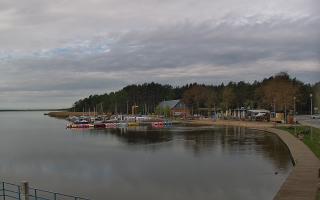 Dąbki - 19-05-2026 06:56