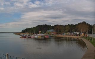 Dąbki - 19-05-2026 07:27