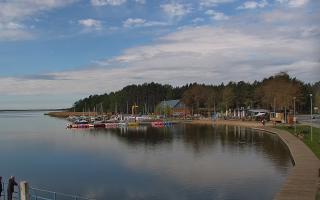 Dąbki - 19-05-2026 07:42